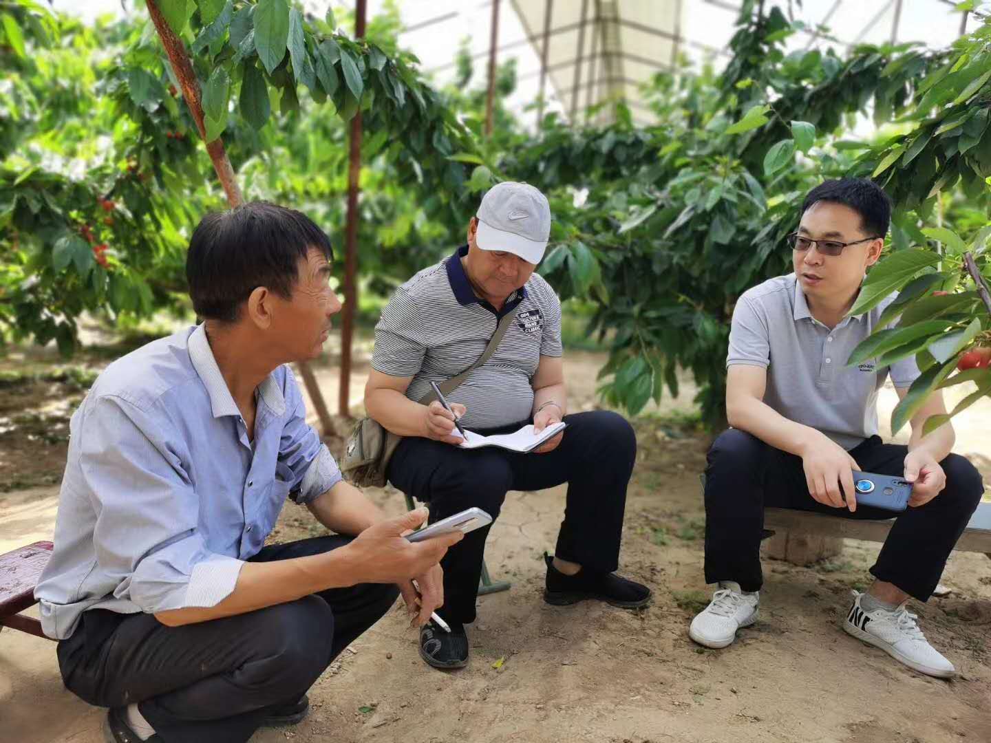 1598420794223453.jpg 路老師和電視臺現(xiàn)場指導農(nóng)戶照片.jpg