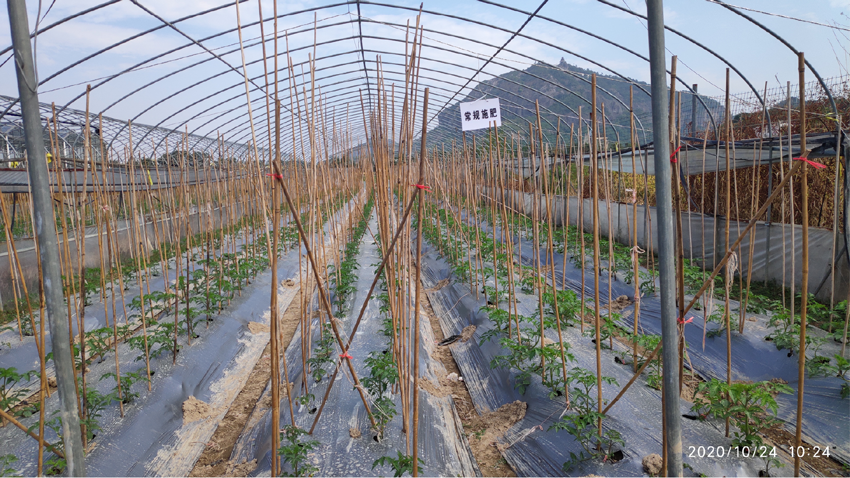 1606440194893072.png 未標題-3-常規(guī)-01.png